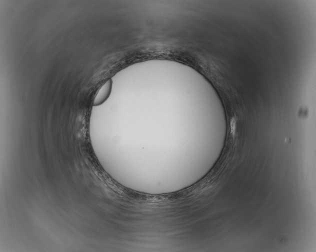 X0000111381203200907100929
