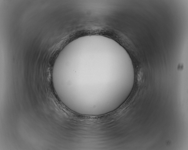 X0000111381204200907100929