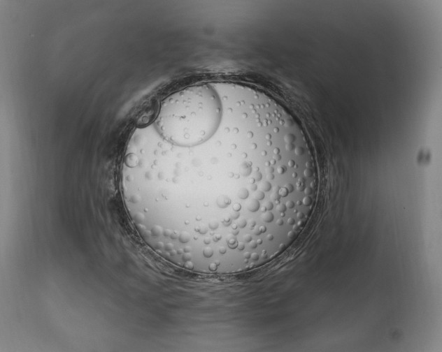 X0000111381205200907100929