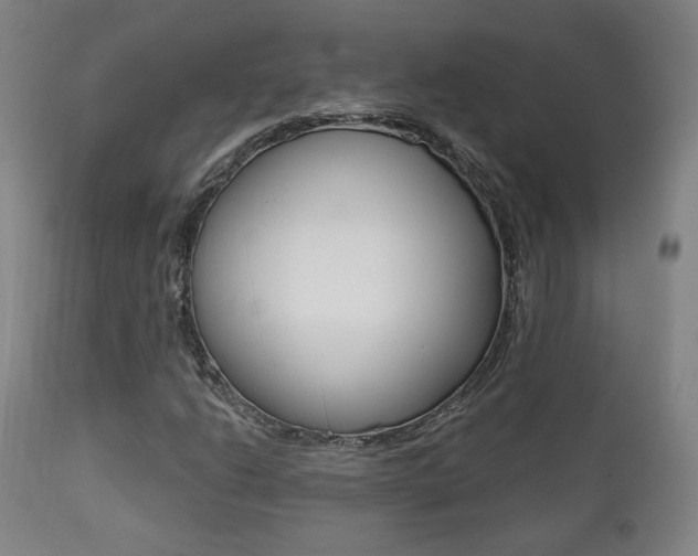 X0000111381206200907100929