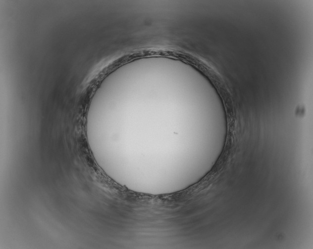 X0000111381207200907100929