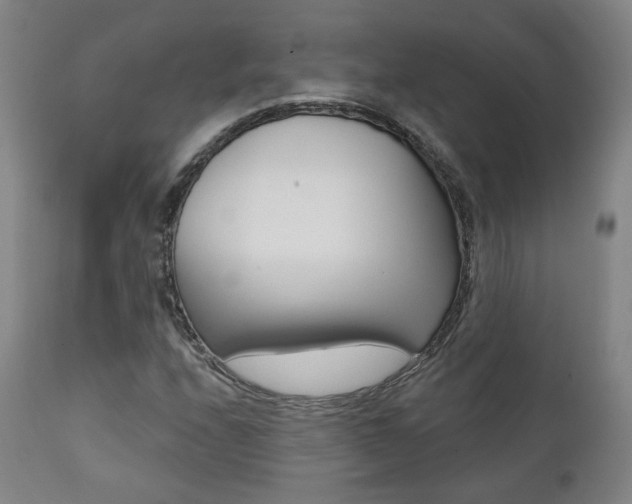X0000111381208200907100929