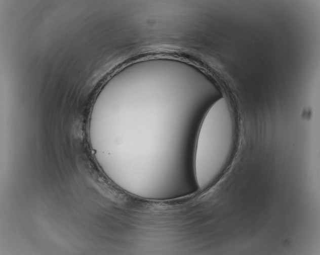 X0000111381209200907100929