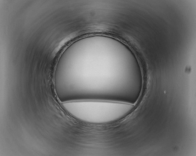 X0000111381210200907100929