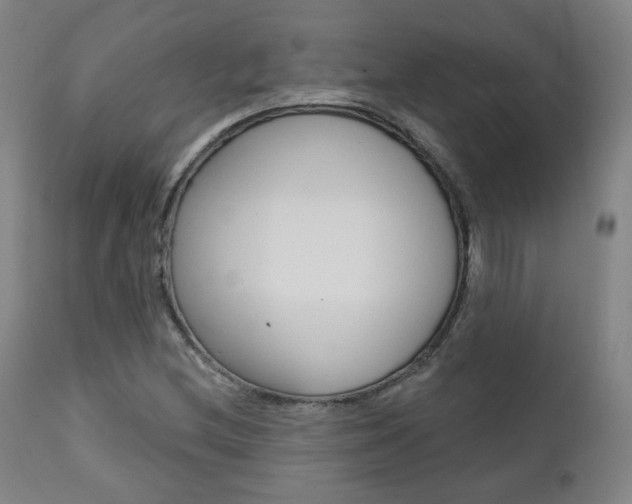 X0000111381212200907100929