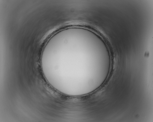 X0000111381213200907100929