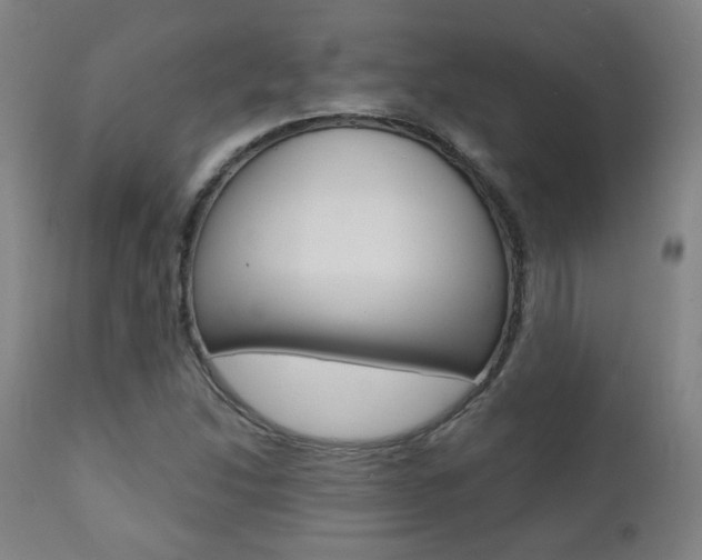 X0000111381214200907100929
