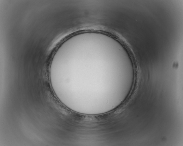 X0000111381215200907100929
