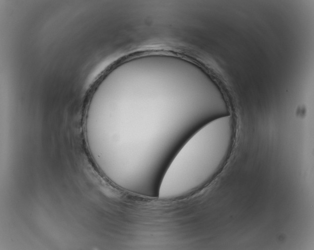 X0000111381216200907100929