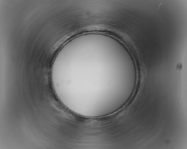 X0000111381217200907100929