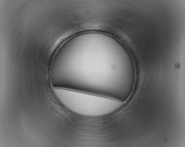 X0000111381218200907100929