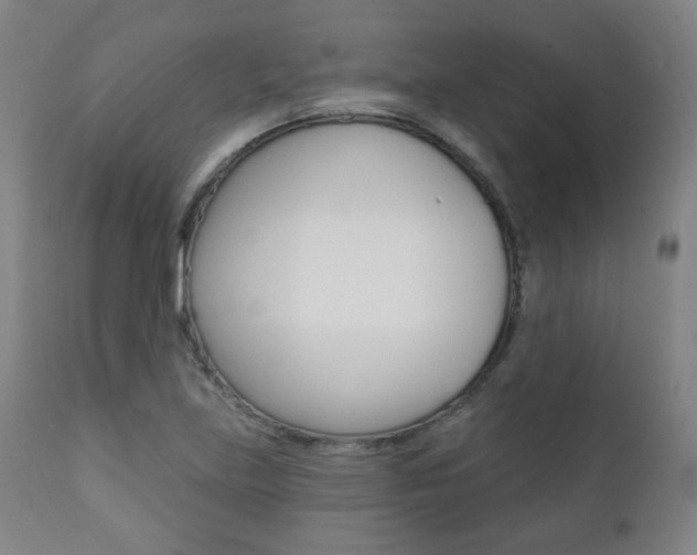X0000111381219200907100929