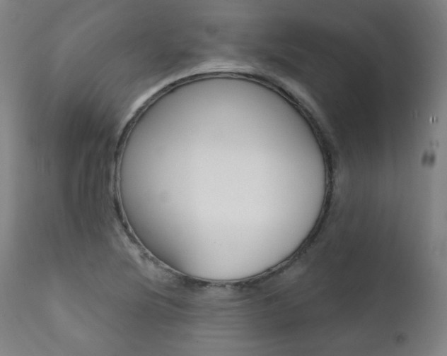 X0000111381220200907100929