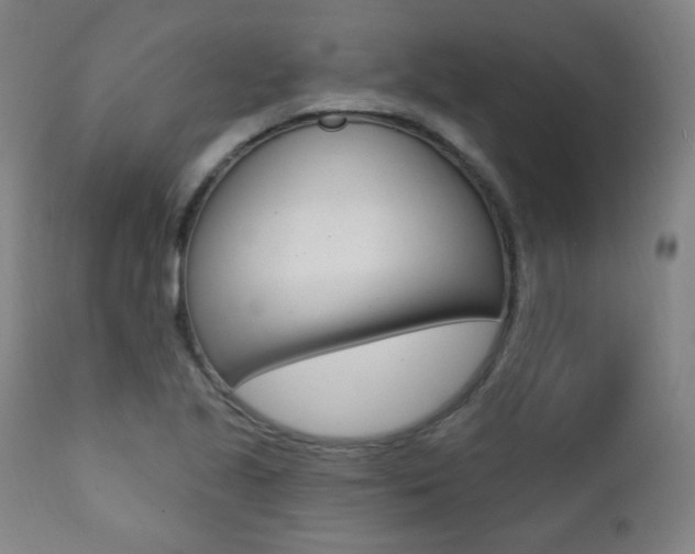 X0000111381221200907100929