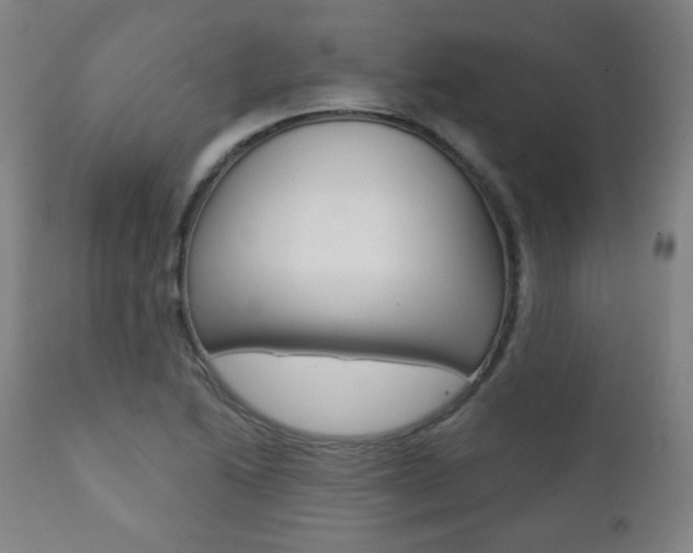 X0000111381222200907100929