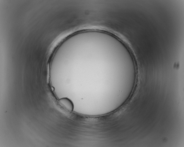 X0000111381223200907100930