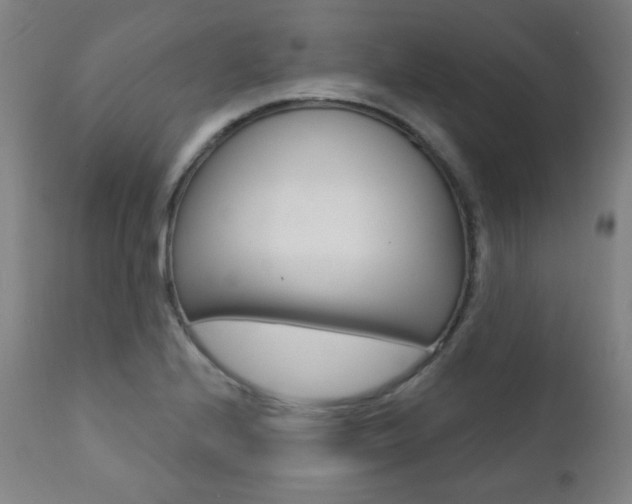 X0000111381224200907100930