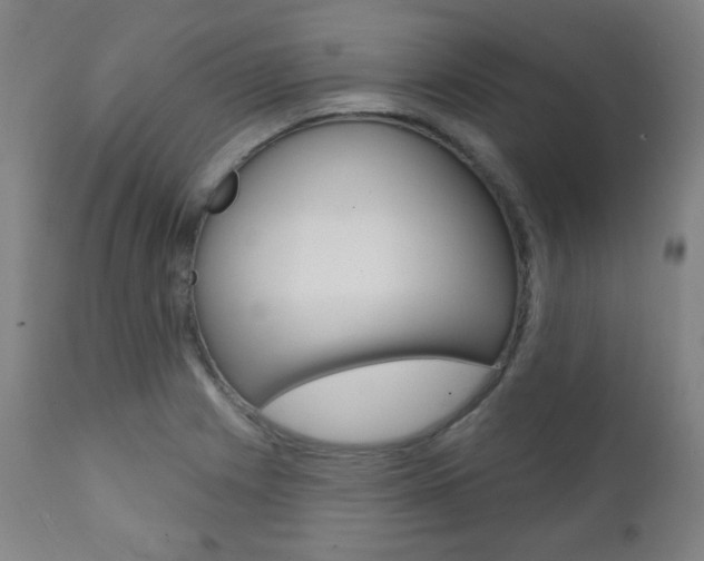 X0000111381225200907100930