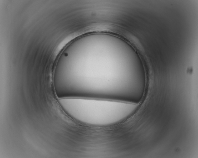 X0000111381226200907100930