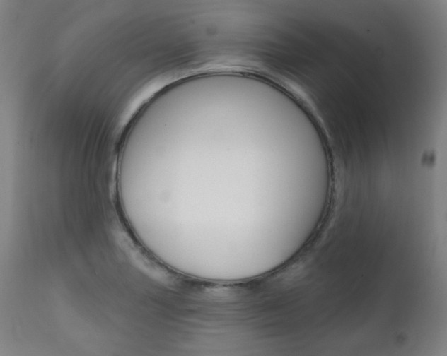 X0000111381227200907100930