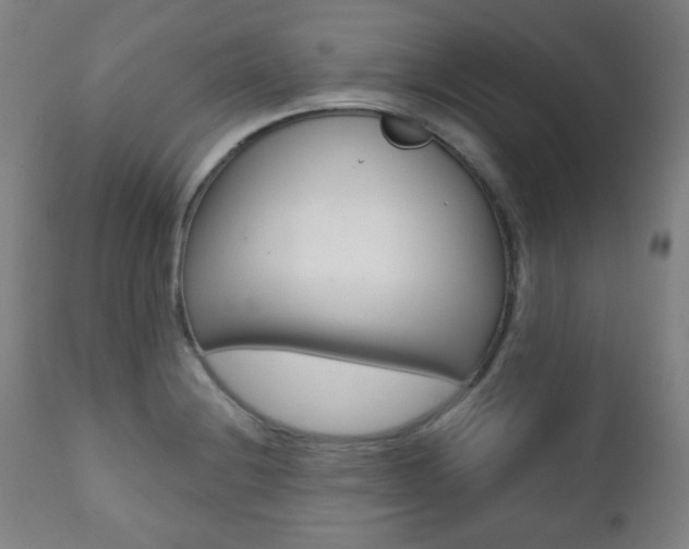 X0000111381228200907100930