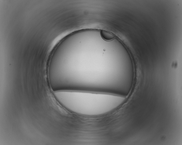 X0000111381230200907100930