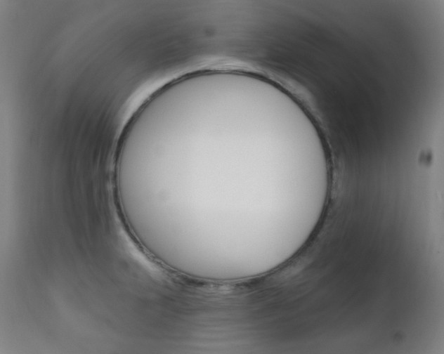 X0000111381231200907100930