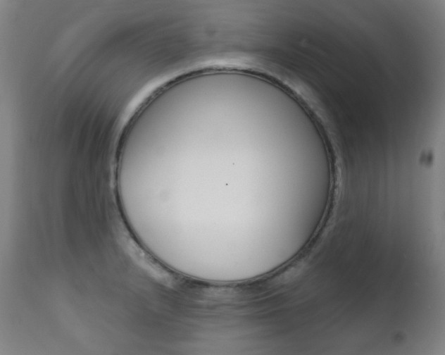 X0000111381232200907100930