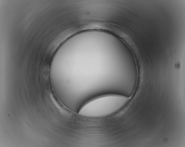 X0000111381233200907100930