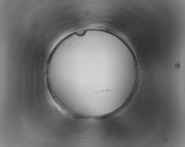 X0000111381235200907100930