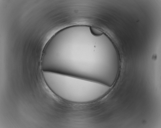 X0000111381236200907100930
