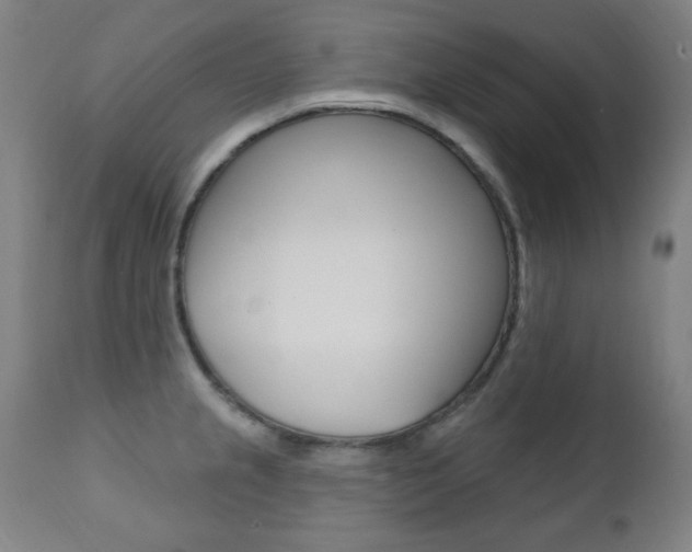 X0000111381237200907100930