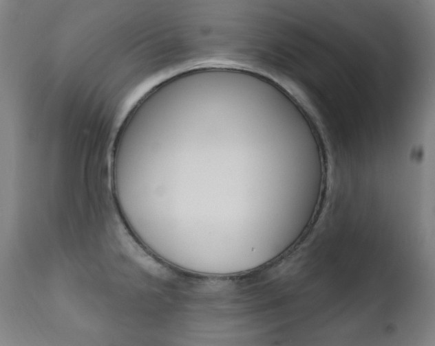 X0000111381238200907100930