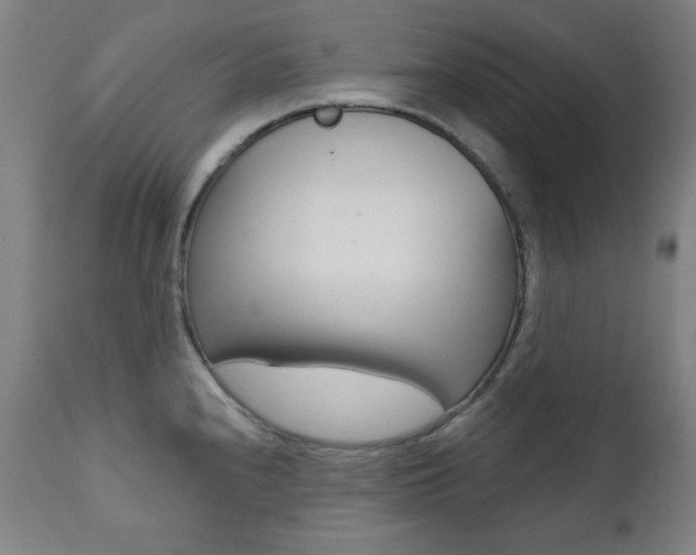 X0000111381240200907100930