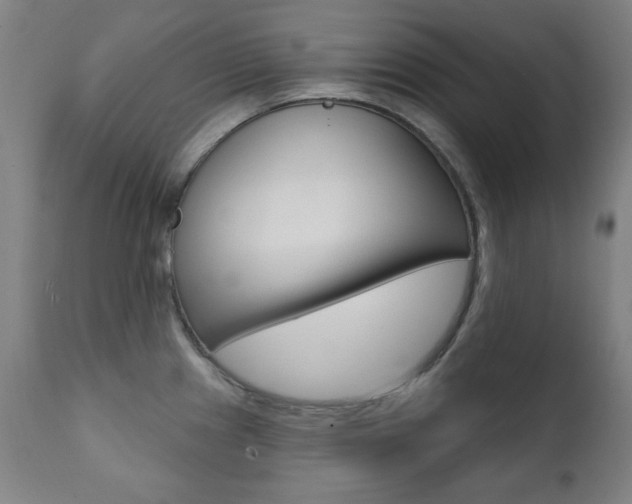 X0000111381241200907100930