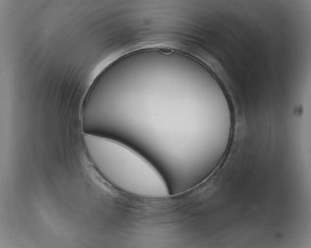 X0000111381242200907100930