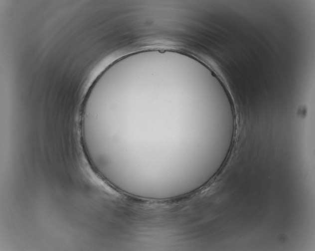 X0000111381243200907100930