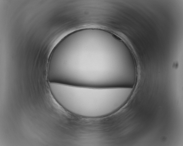 X0000111381244200907100930