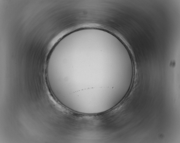 X0000111381245200907100930