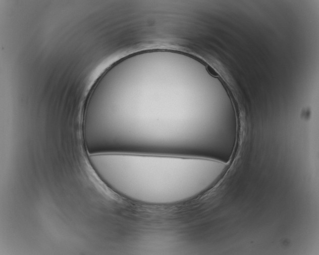 X0000111381246200907100930