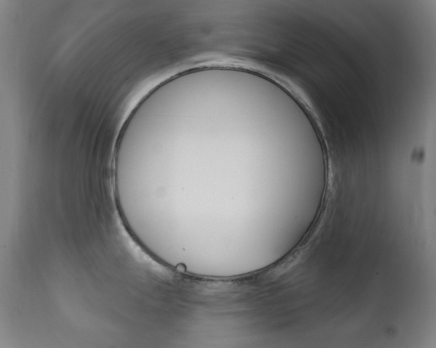 X0000111381247200907100930