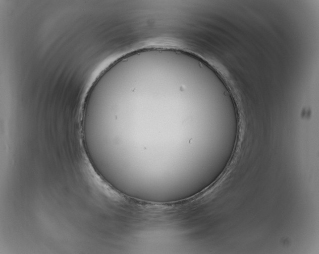 X0000111381248200907100930