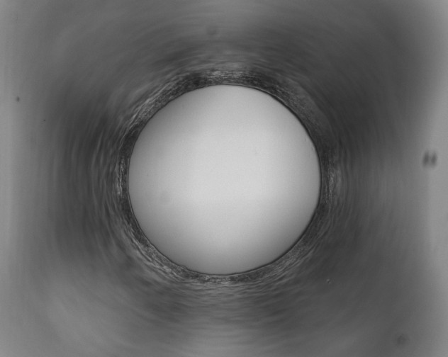X0000111381250200907100929