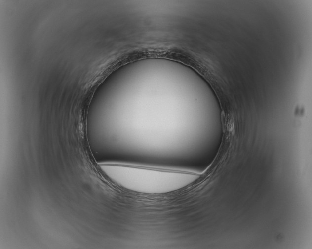 X0000111381252200907100929