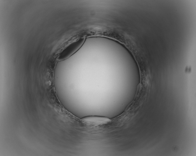 X0000111381253200907100929