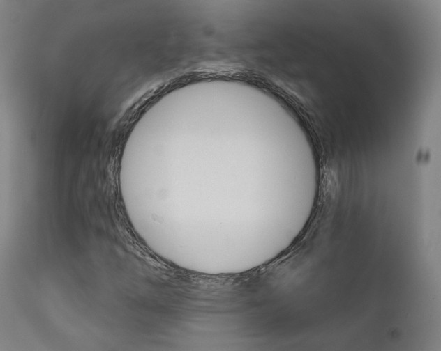 X0000111381254200907100929