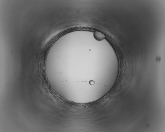 X0000111381255200907100929