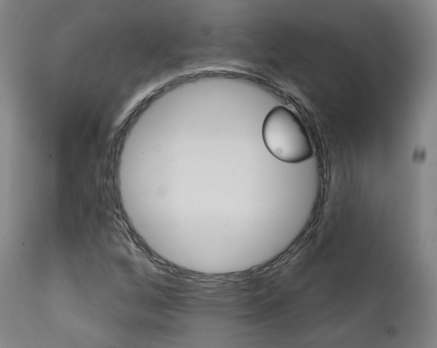 X0000111381256200907100929