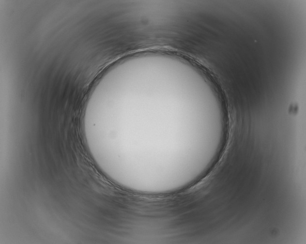 X0000111381257200907100929