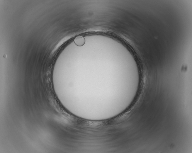 X0000111381258200907100929